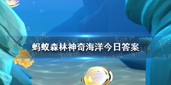 蚂蚁森林神奇海洋2025年1月17日答案